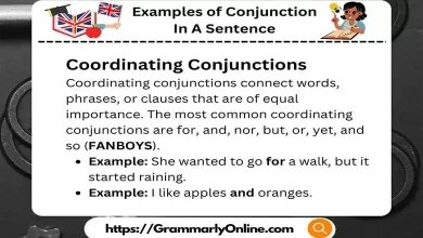 20 Examples of Conjunction In A Sentence