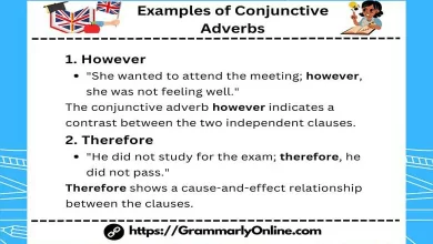 20 Examples of Conjunctive Adverbs In Sentences