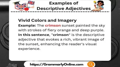 20 Examples of Descriptive Adjectives In Sentences