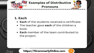 20 Examples of Distributive Pronouns in Sentences