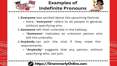 20 Examples of Indefinite Pronouns in Sentences