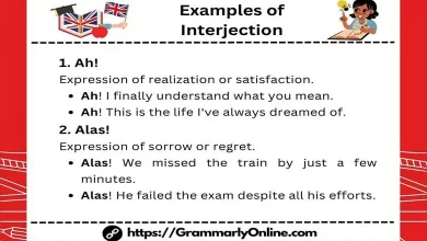 20 Examples of Interjection in Sentences