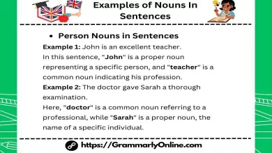 20 Examples of Nouns In Sentences