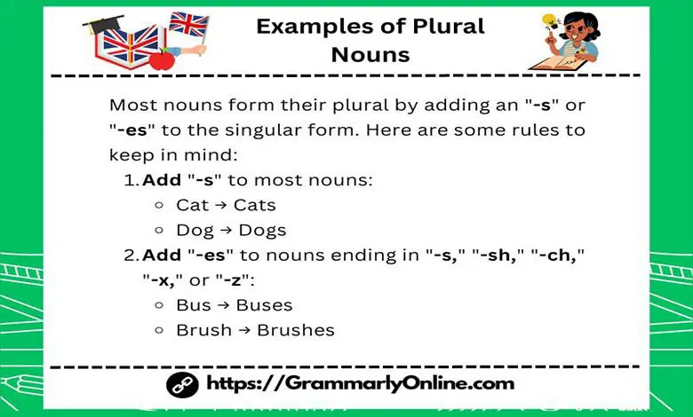 20 Examples of Plural Nouns In Sentences