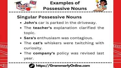 20 Examples of Possessive Nouns In Sentences