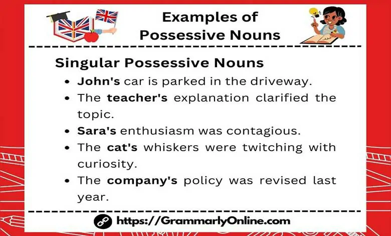 20 Examples of Possessive Nouns In Sentences