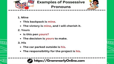 20 Examples of Possessive Pronouns In Sentences