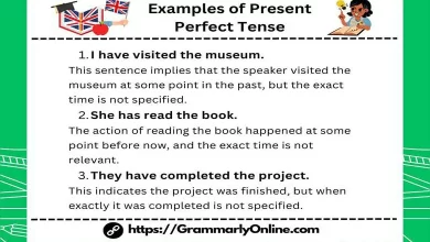 20 Examples of Present Perfect Tense Sentences