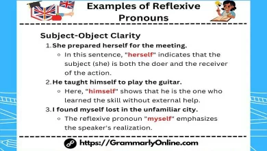 20 Examples of Reflexive Pronouns In Sentences