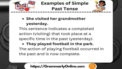 20 Examples of Simple Past Tense Sentences