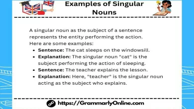 20 Examples of Singular Nouns In Sentences