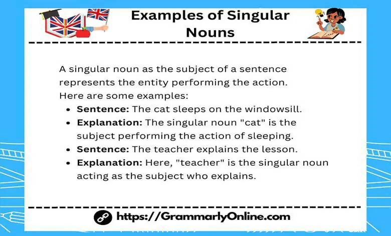 20 Examples of Singular Nouns In Sentences