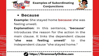 20 Examples of Subordinating Conjunctions In Sentences