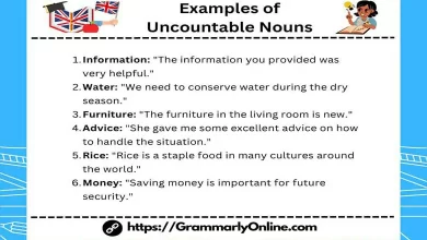 20 Examples of Uncountable Nouns In Sentences