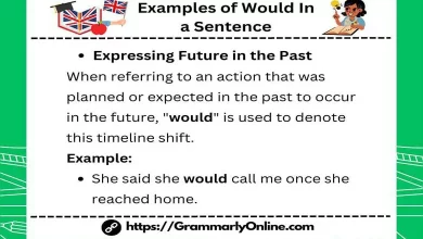 20 Examples of Would In a Sentence