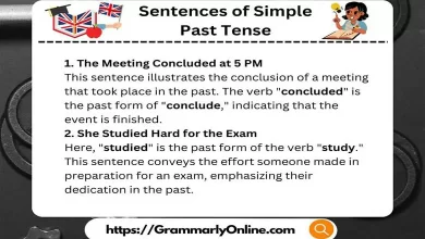 20 Sentences of Simple Past Tense Examples