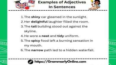 30 Examples of Adjectives In Sentences