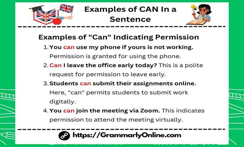 30 Examples of CAN In a Sentence