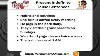 30 Present Indefinite Tense Sentences In English