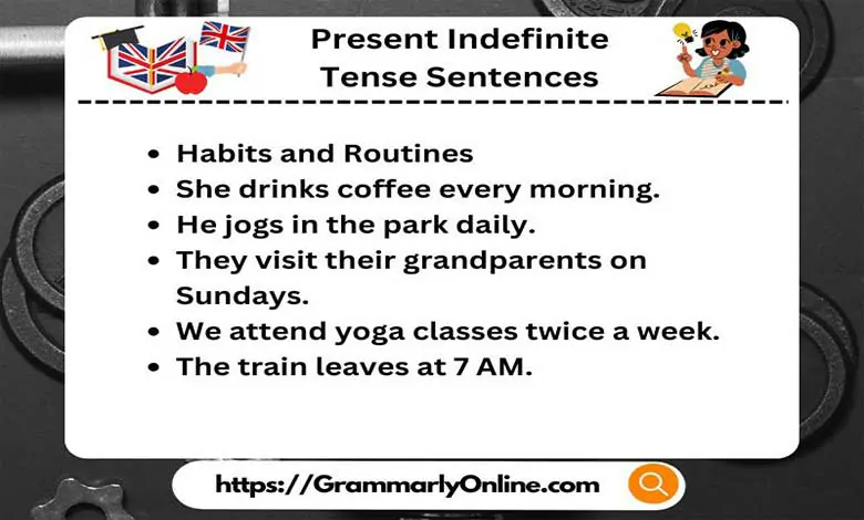 30 Present Indefinite Tense Sentences In English