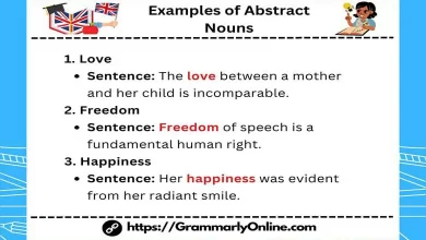 40 Examples of Abstract Nouns In Sentences