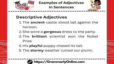 40 Examples of Adjectives In Sentences