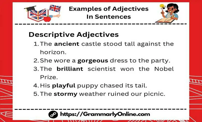 40 Examples of Adjectives In Sentences