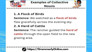 40 Examples of Collective Nouns In Sentences