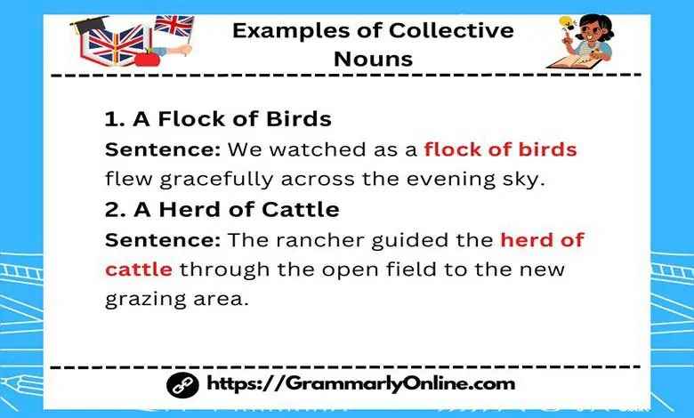 40 Examples of Collective Nouns In Sentences