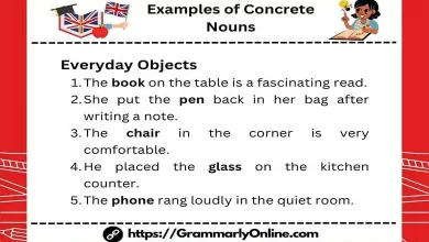 40 Examples of Concrete Nouns In Sentences