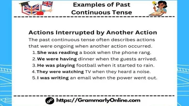 40 Examples of Past Continuous Tense In Sentences