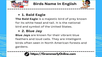 50 Birds Name In English