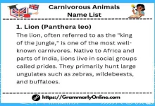 50 Carnivorous Animals Name List and Examples