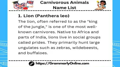 50 Carnivorous Animals Name List and Examples