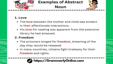 50 Examples of Abstract Noun Sentences