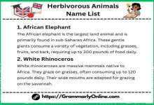 50 Herbivorous Animals Name List and Examples