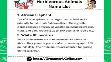 50 Herbivorous Animals Name List and Examples