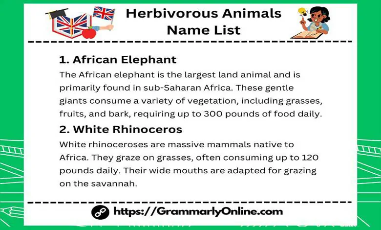 50 Herbivorous Animals Name List and Examples