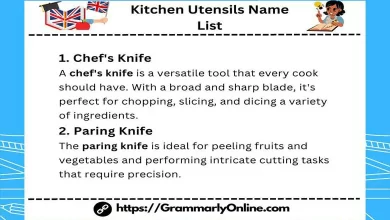 50+ Kitchen Utensils Name List