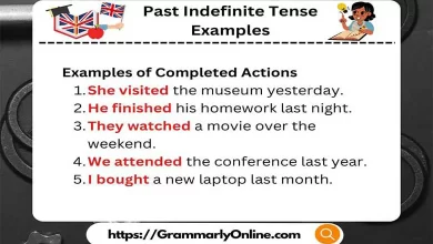 50 Past Indefinite Tense Examples