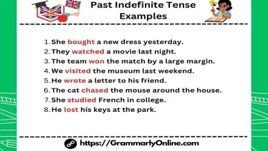 50 Past Indefinite Tense Examples In English