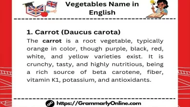 50+ Vegetables Name in English