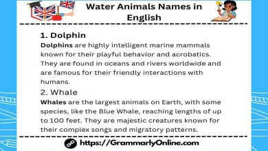 50 Water Animals Names in English