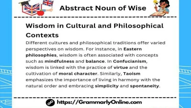 Abstract Noun of Wise