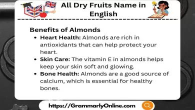 All Dry Fruits Name in English