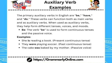 Auxiliary Verb Examples Sentences