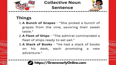 Collective Noun Sentence Examples