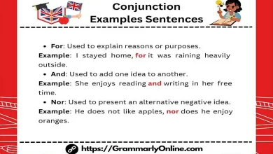 Conjunction Examples Sentences