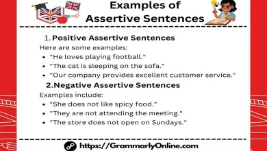 Examples of Assertive or Declarative Sentences