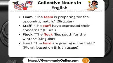 Examples of Collective Nouns in English